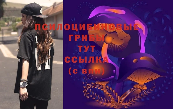 гашиш Абаза