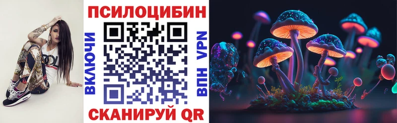 где можно купить   Никольск  Галлюциногенные грибы Cubensis 